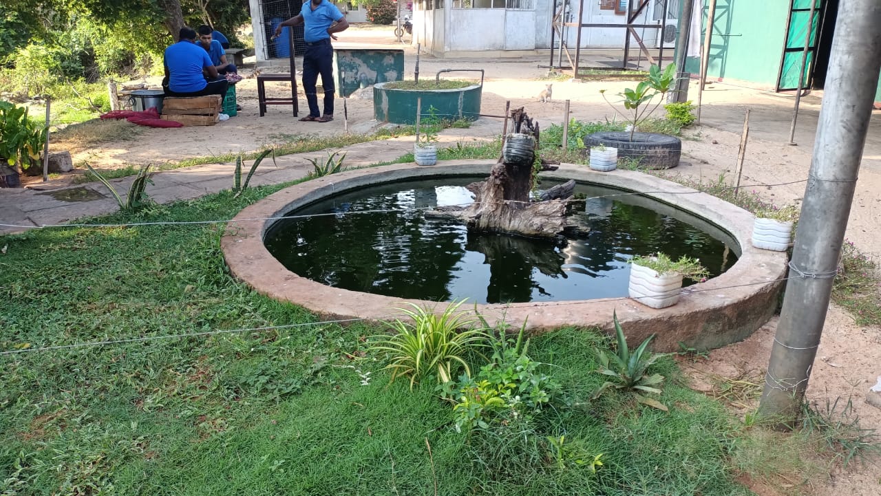 Biogas Solutions for Climate Change Mitigation in Galle