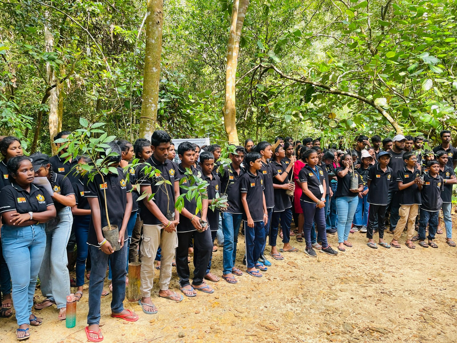 Tree Planting and Environmental Education Initiatives