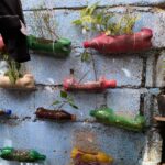 Home Garden Programs