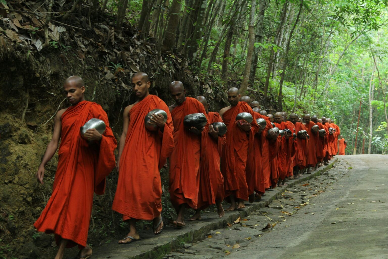 A group of Buddhist monks in orange robes walking serenely along a forest path.
